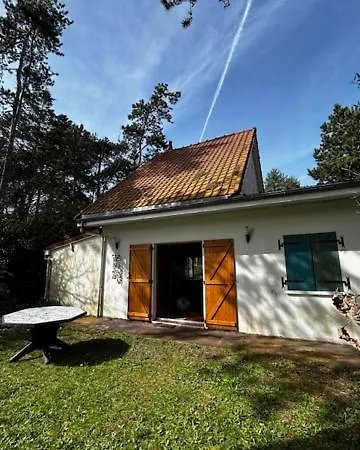 Pomme De Pin * קן-פלאז'